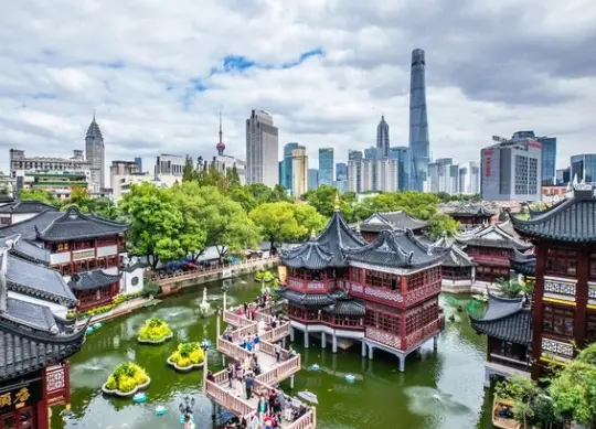 公平路大树下藏着什么秘密？提篮桥监狱历史与下海庙静心祈福全解析