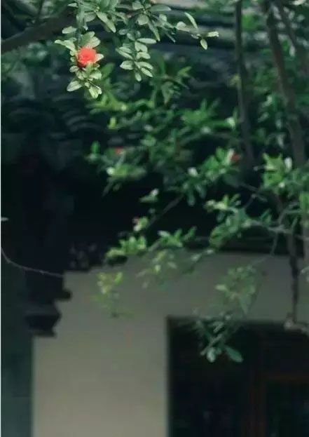 经典茶文化_茶叶专卖店茶文化重要性