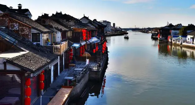 上海村口大树与长乐路创意咖啡的奇妙碰撞，一口喝下整条街的文艺魂☕