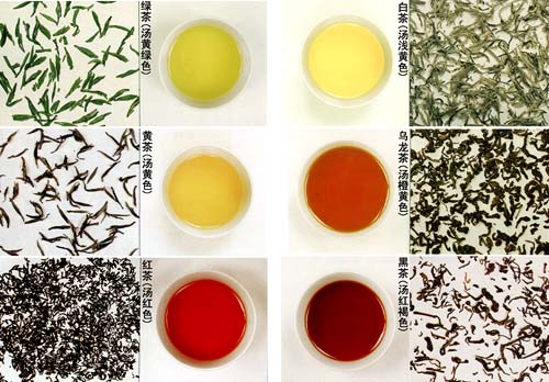 茶叶的品种，中国茶叶的品种，各类茶叶的功能