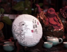 白茶的功能与感化是甚么？