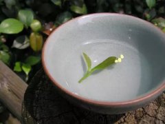 有茶喝的日子便是一段好