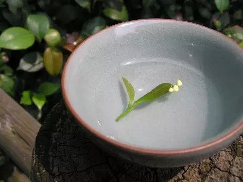 为甚么那末多人喜好品茗_品茗注重的事变