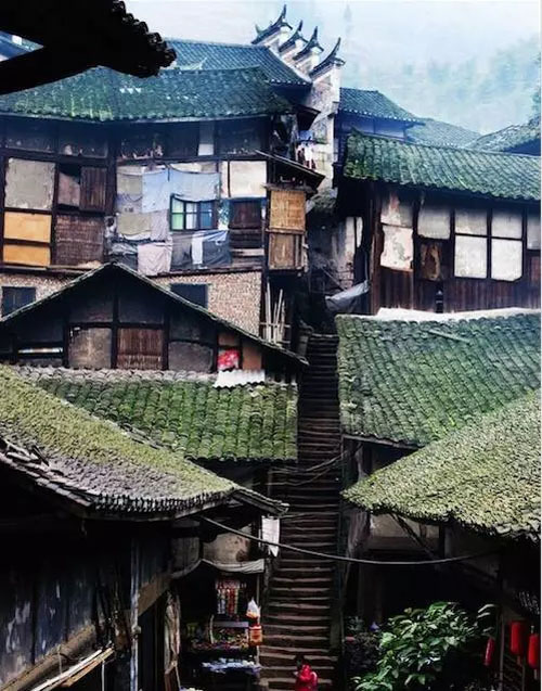中国茶文明--茶艺茶道