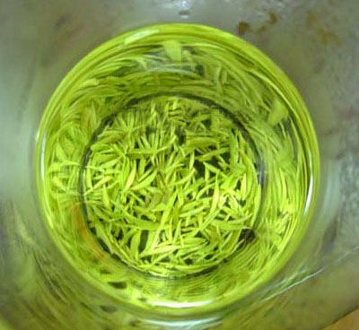绿茶之信阳毛尖的感化与功能