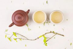 茶叶对人体安康的奇异功能